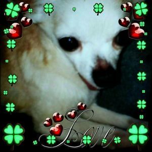 Meet your Posher, Patricia